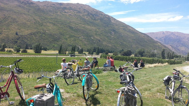 If you’re looking for a bike tour with a difference then look no further than Cycle de Vine. Check out some of the eclectic wineries set along the Gibbston back roads and enjoy a tasty picnic lunch with amazing views of the valley as your backdrop.